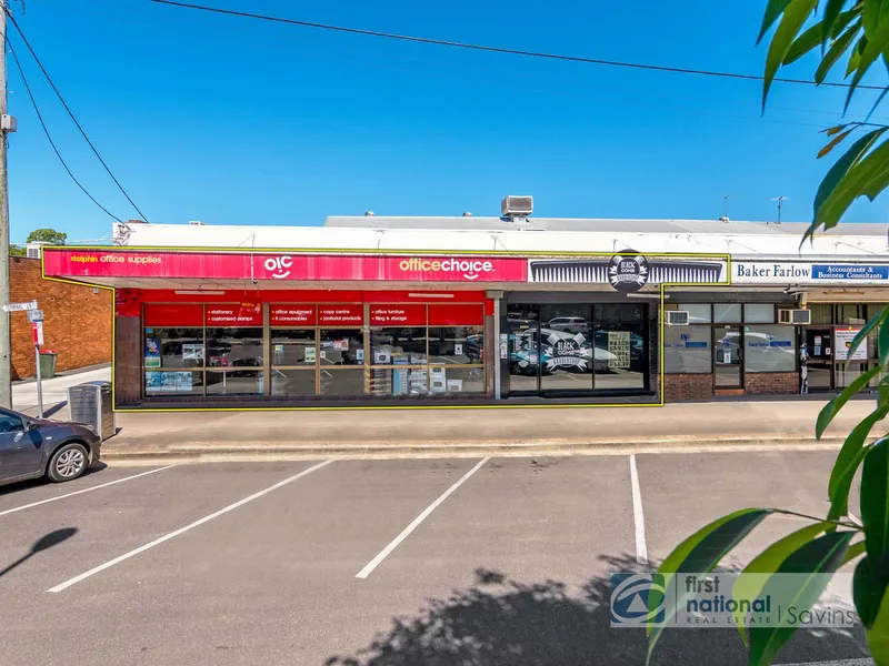 DUAL INCOME INVESTMENT