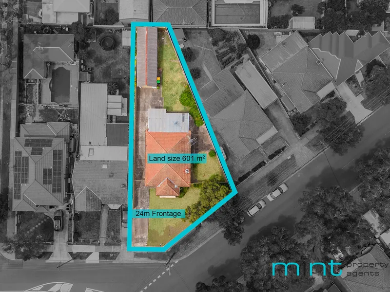 The Land Of Opportunity