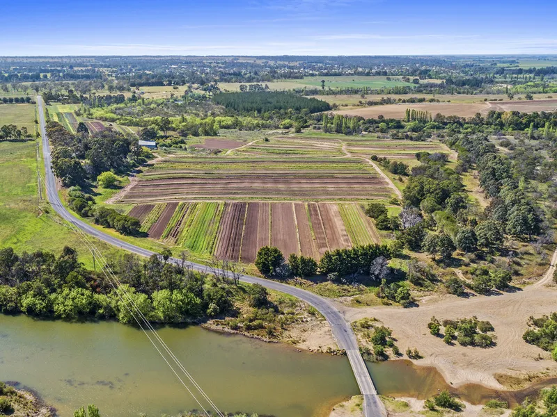 Vegetable Farm Lot 2