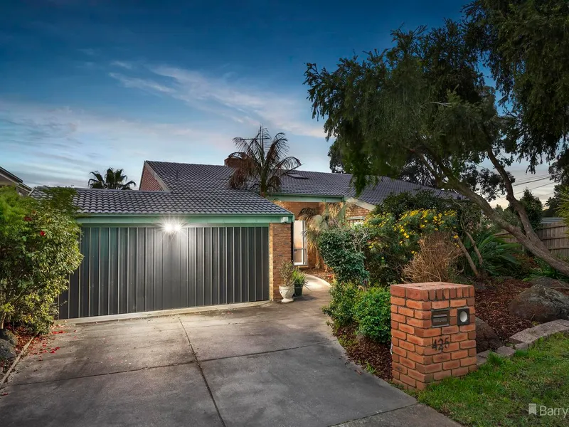 Options galore! Serpell Primary School Zoning