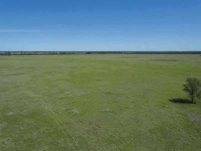 Scale, Location and Quality