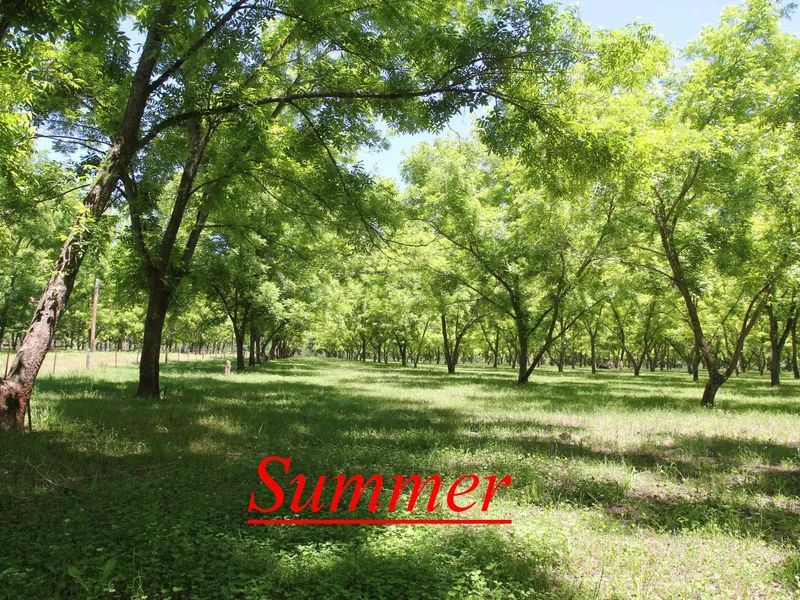 The Locale; Perfect! 27 Acres. Long Riverfront. Outlook? Oh Yes! 
