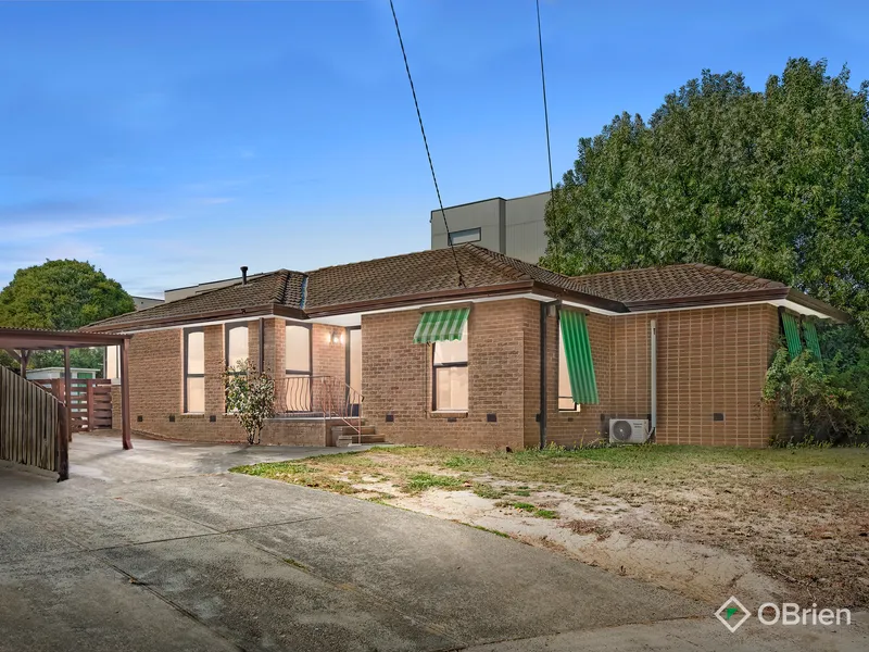 The One You've Been Waiting For