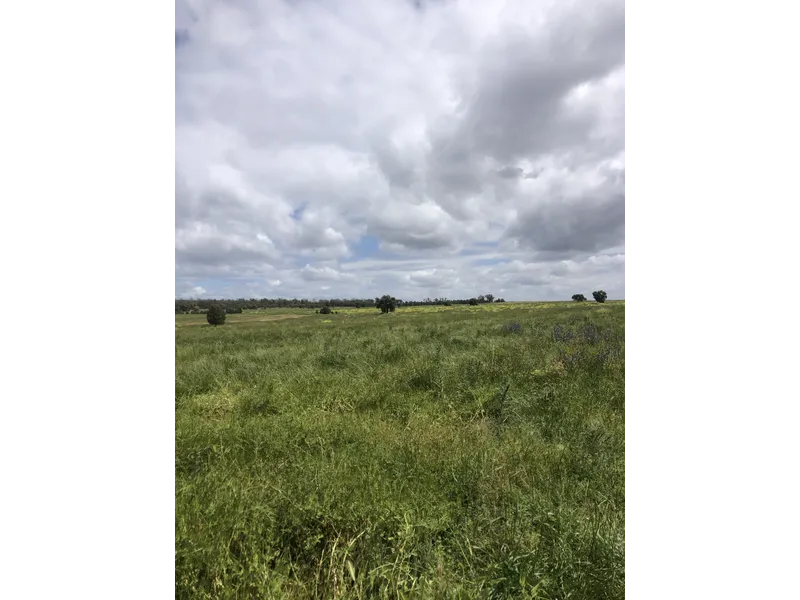 'Stella Downs' approx. 10,108 acres (4,090 ha)