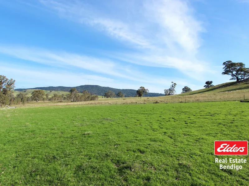 LOCATION, LIFESTYLE & MAGNIFICENT MOUNTION VIEWS - 100 AC / 40 HA