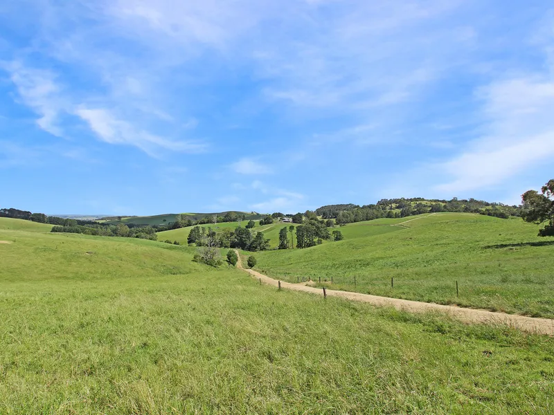 DAIRY FARMING OPPORTUNITY