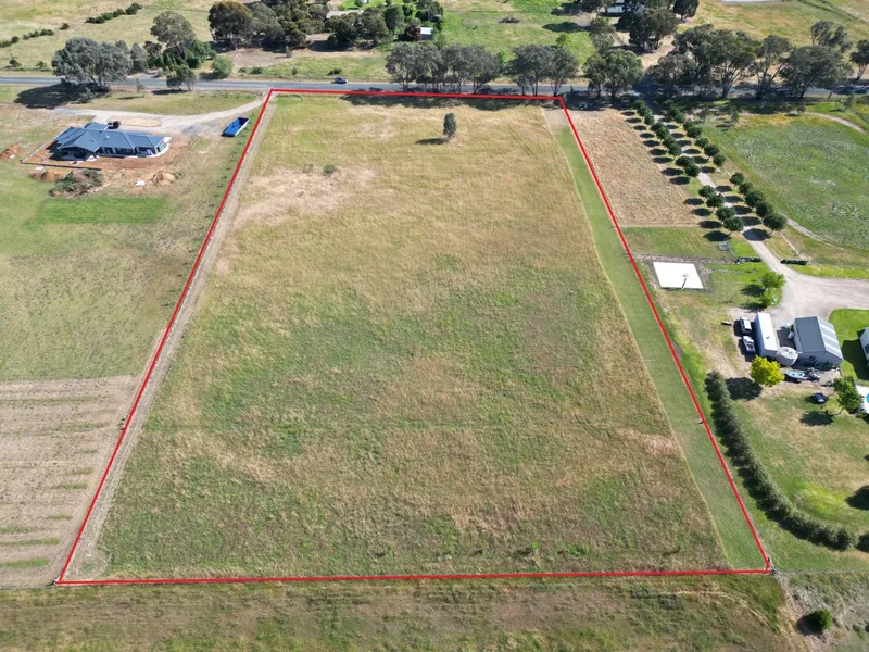 “We have the canvas, could you be the artist?”