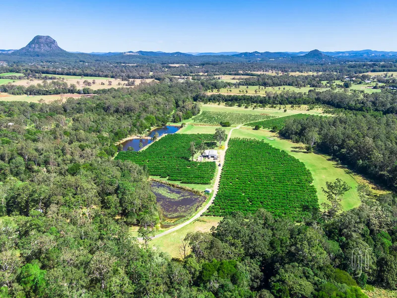 POMONA CITRUS ORCHARD!