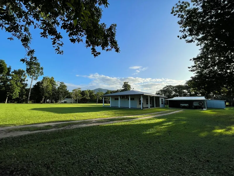 Renovated Home, Shed/Carport for 7 and over 2 Acres !