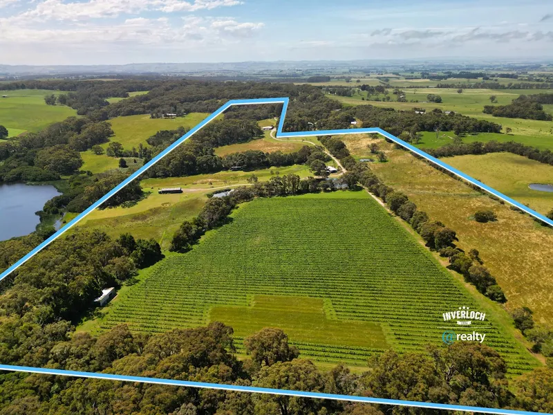 A Wine Lovers Dream In Park Like Surrounds - Unlimited Potential