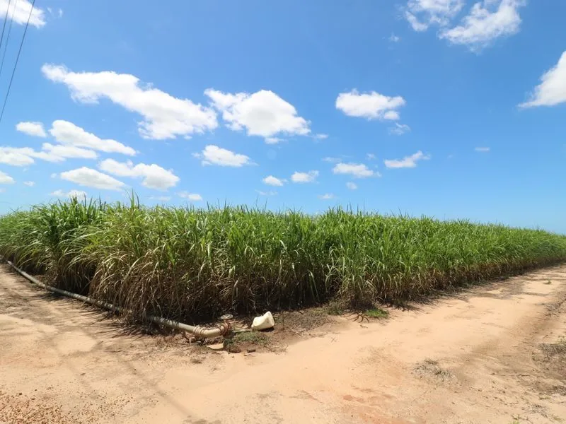 PRIME LAND CLOSE TO TOWN