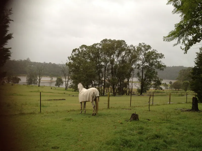 Granny flat on horse property