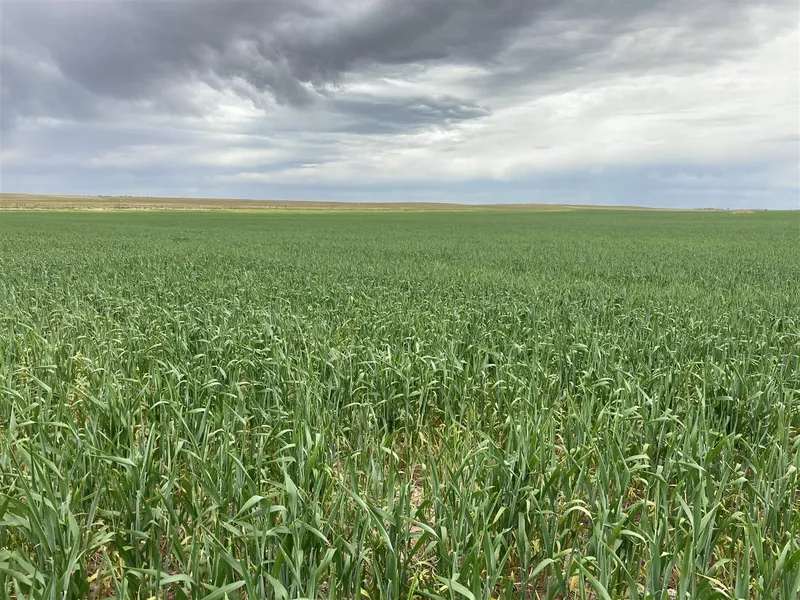 Cropping & Grazing Land