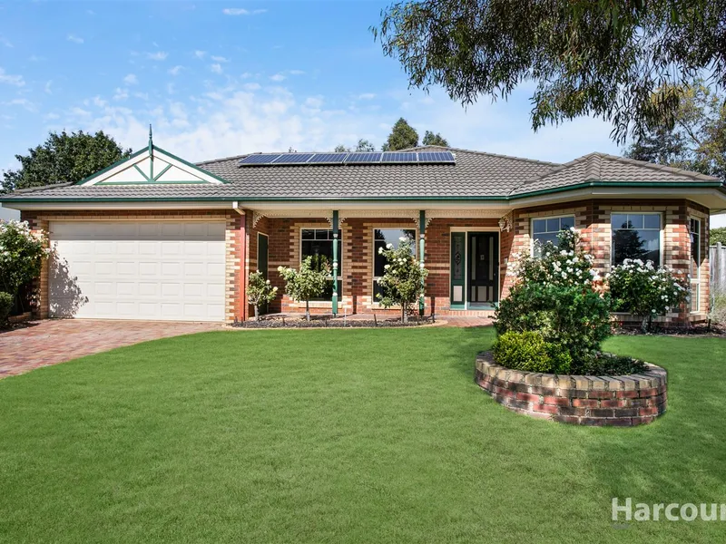 Space For The Whole Family And Their Toys!