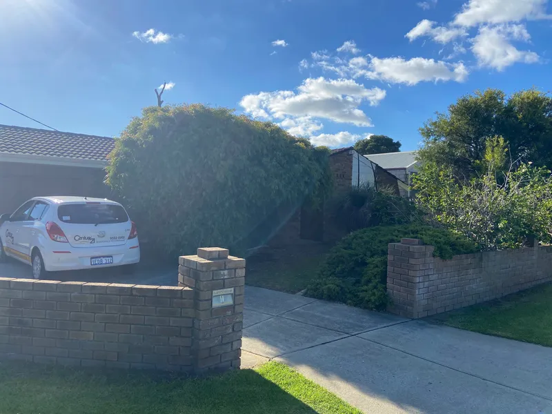 AIR CON - LAWN MOWING INC - PETS CONSIDERED