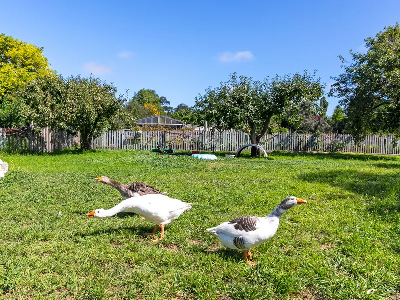 North Facing Residential Block with Rural Vistas