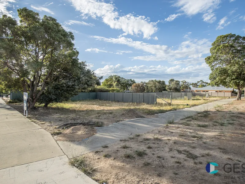 Top Investment Opportunity