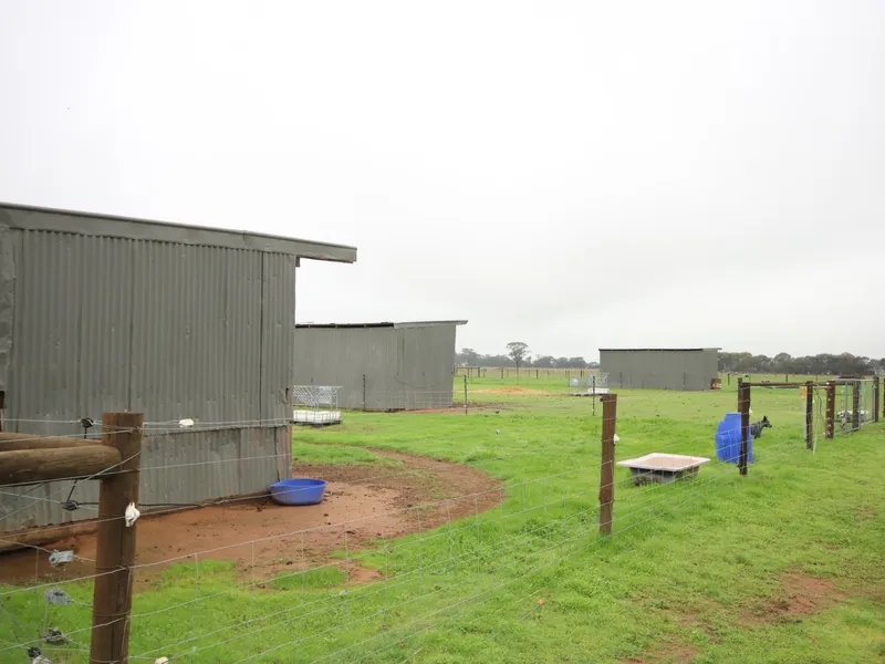 TRANSPORTABLE CABIN ON APPROX 12 ACRES - IDEAL FOR HORSE OWNERS