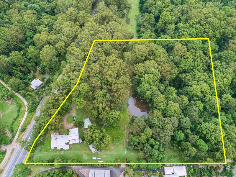 Renovate or Detonate!