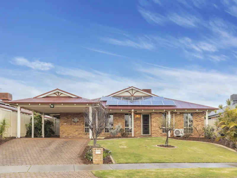 The Great Entertainer