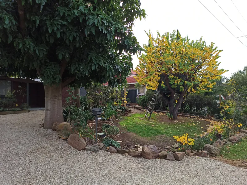 Lovely 3 Bedroom Home in a Great Location!