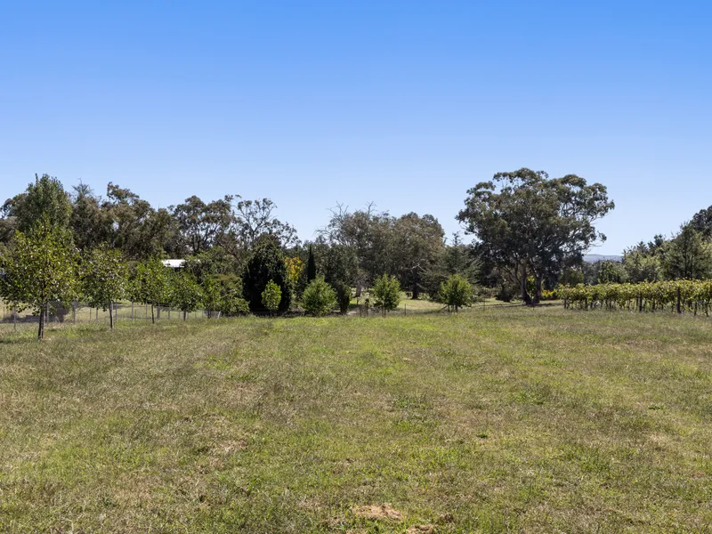 Vacant Block With Vineyard