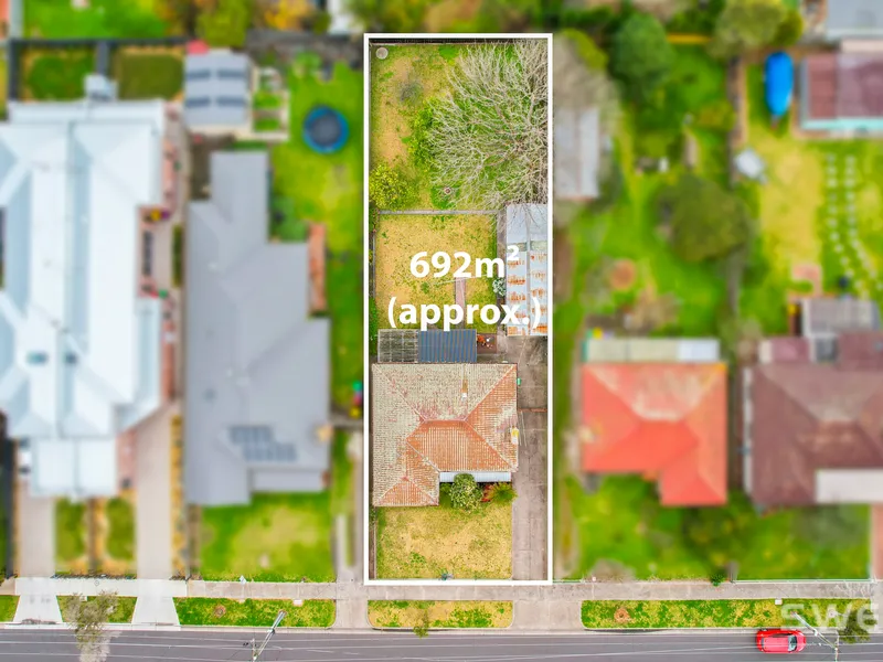 A Classic Birdcage Original.