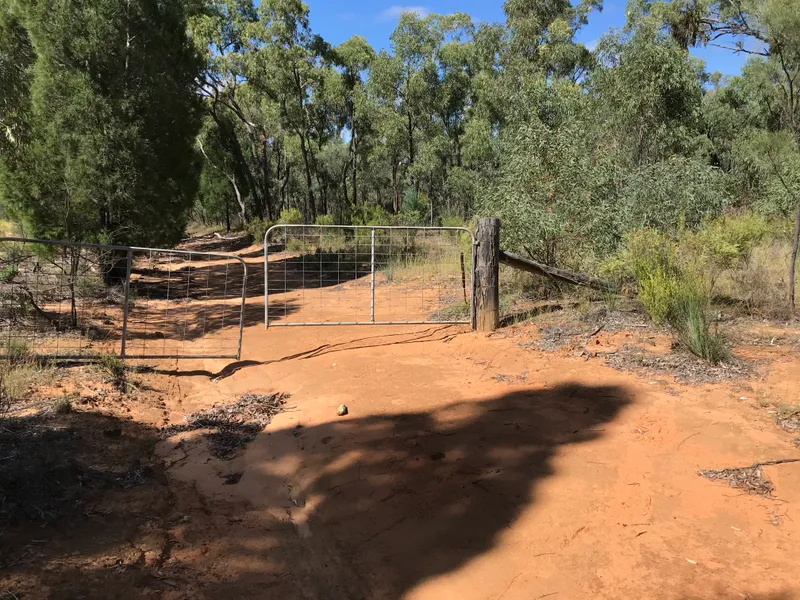 Your owned wilderness