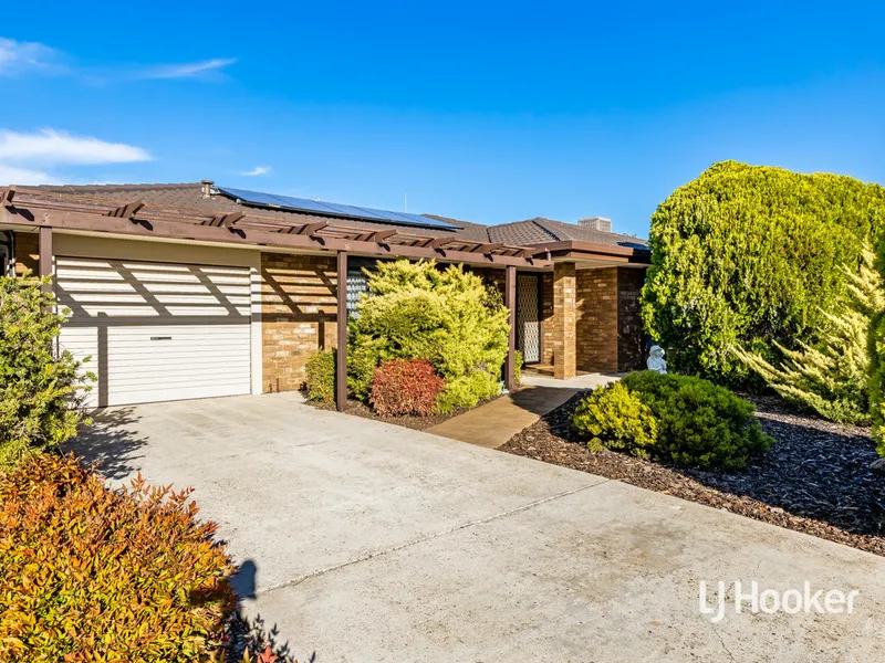 Here’s A Real Treat