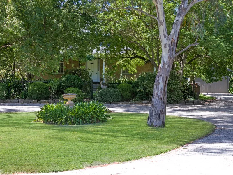 BE WOWED BY THIS MASTERPIECE CLARE VALLEY COTTAGE