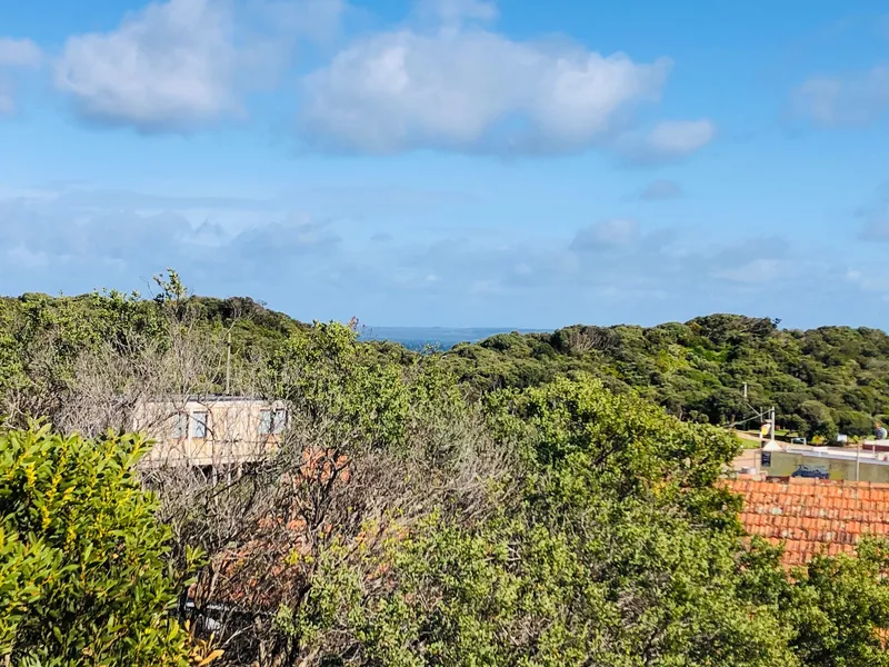 Views from the mountains to the sea