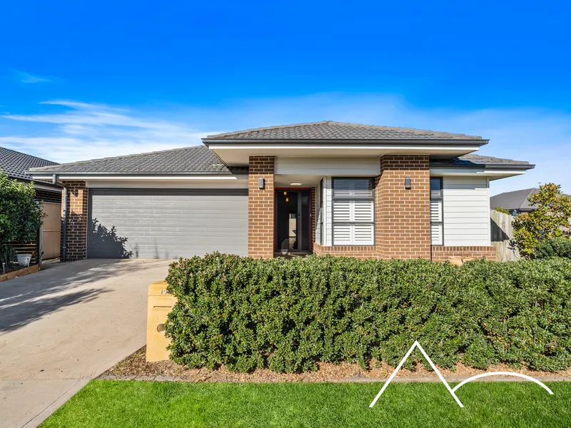 Spring Farm Perfection