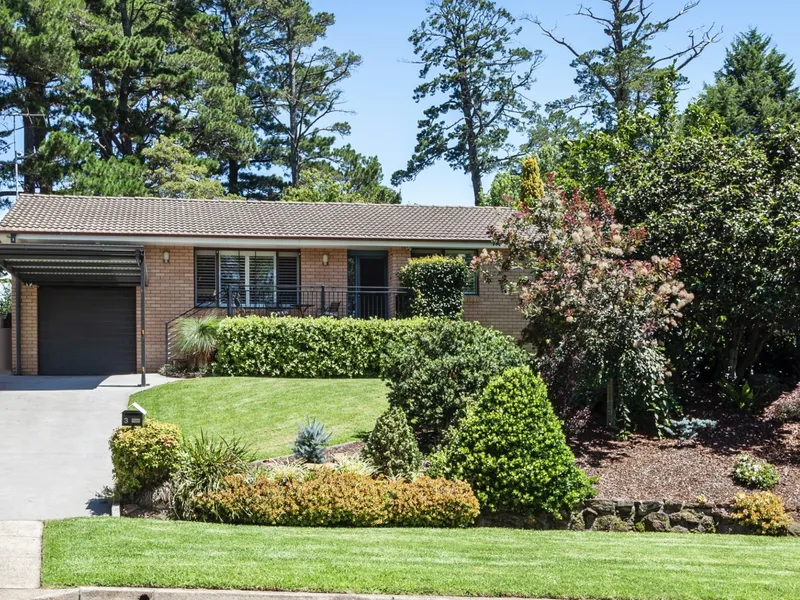 Rare Stunning beauty