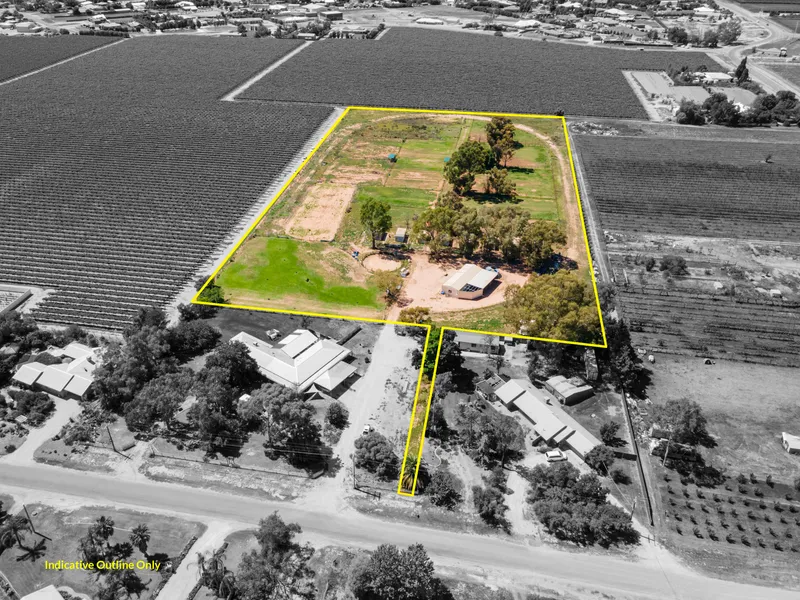 Farming Land Opportunity