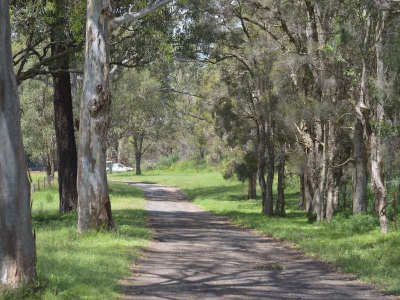 Impressive Established Horse Stud