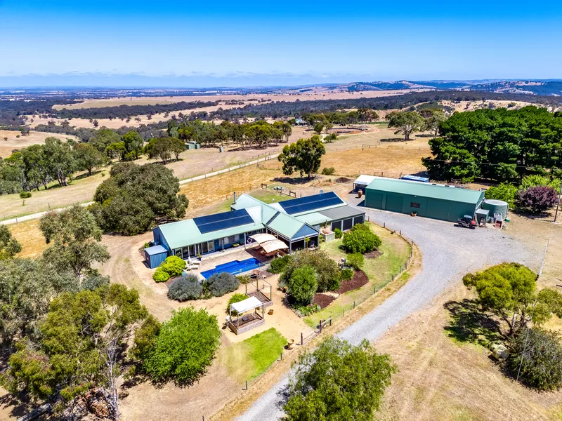 Swim, graze & entertain: settle in for lifestyle serenity on 60 scenic acres…