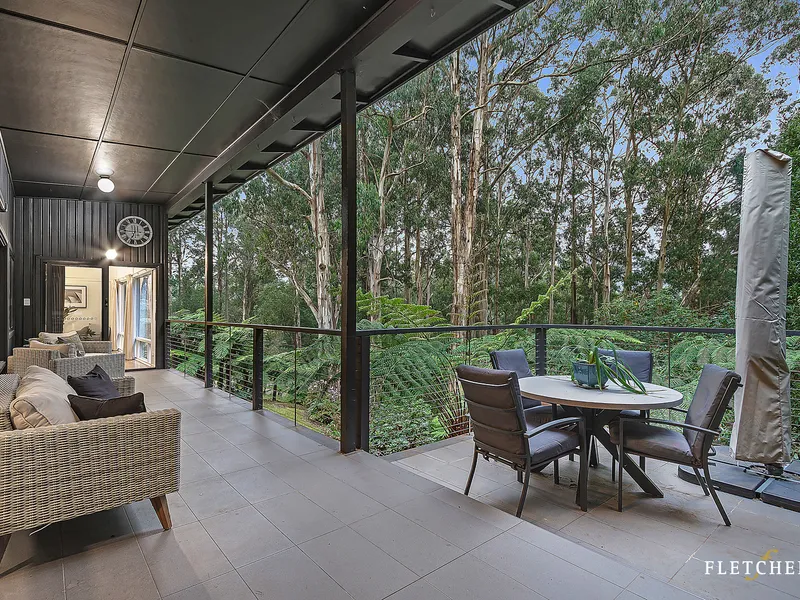 Updated Mid Century Modern Family Home With Stunning Forest Views