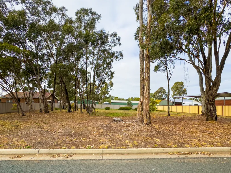 Large Allotment Ripe For Development, White Hills.