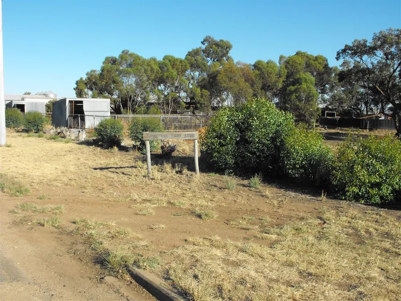 Stable complex located on outskirts of Birchip.