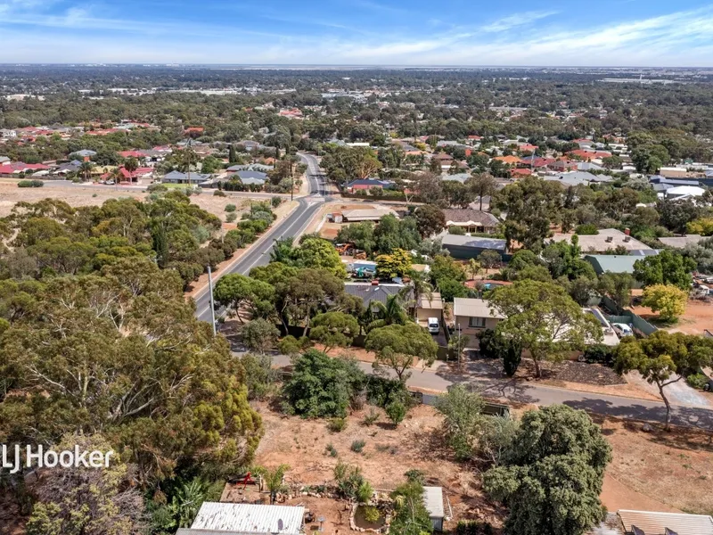 Create your vision on this blank canvas