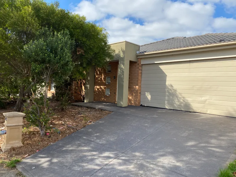 Lovely Home with Park Views