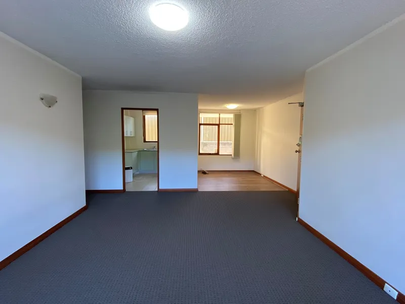 RENOVATED Sundrenched Two Bedroom Apartment
