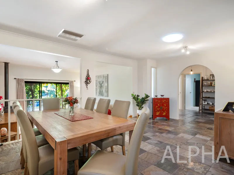 Massive allotment in Modbury North!  