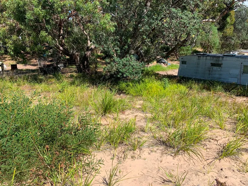 OVER HALF AN ACRE OF PRIME REAL ESTATE WITH DUAL ROAD ACCESS