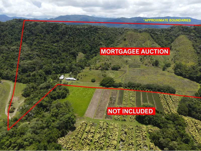MORTGAGEE AUCTION - FORMER ESTABLISHED PASSIONFRUIT FARM
