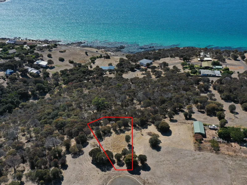 Sensational Seaviews!