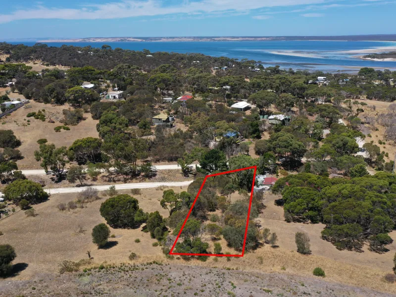 Affordable Land in American River!