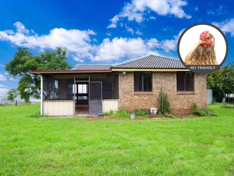 Fully fenced property perfect for horses!