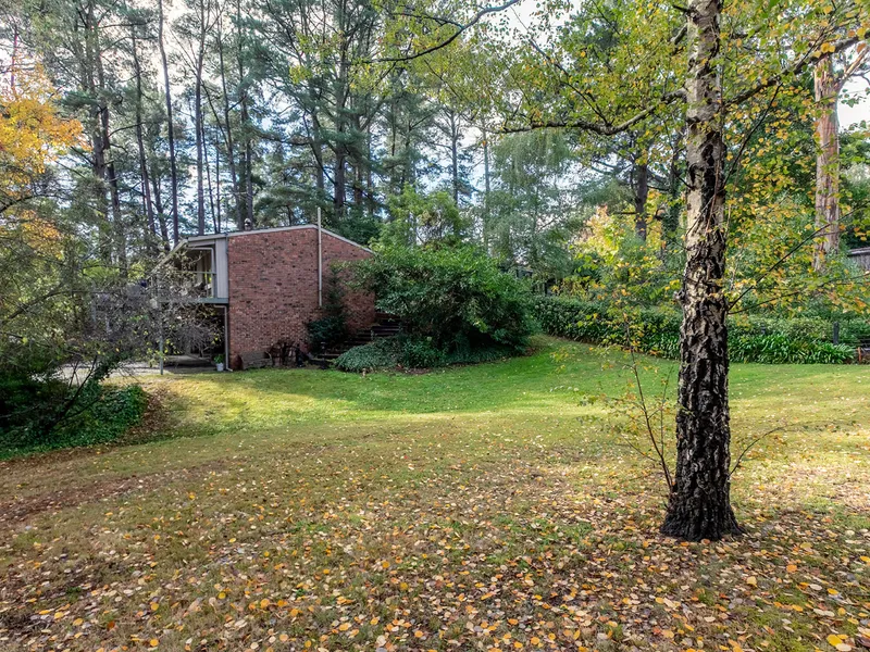 Absolute Dress Circle Location