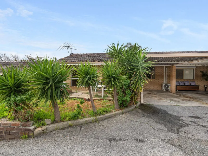 A Renovators Delight